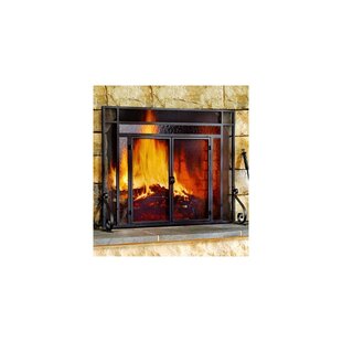 Shop Wayfair for the best mini fireplace screen. Enjoy Free Shipping on most stuff